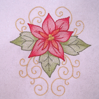 Painted Poinsettias--Set of 10 Designs
